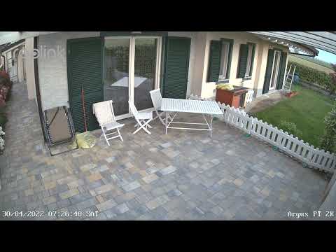 Reolink Argus PT 2K: timelapse alba