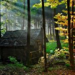 Consumi casa elettrica - Marzo 2016