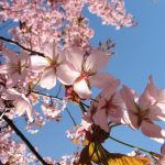 Consumi casa elettrica - Aprile 2016