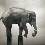 Scambio Sul Posto: bilancio 2015