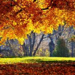 Consumi casa elettrica - Settembre 2016