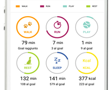 Localizzatore GPS per cani Kippy
