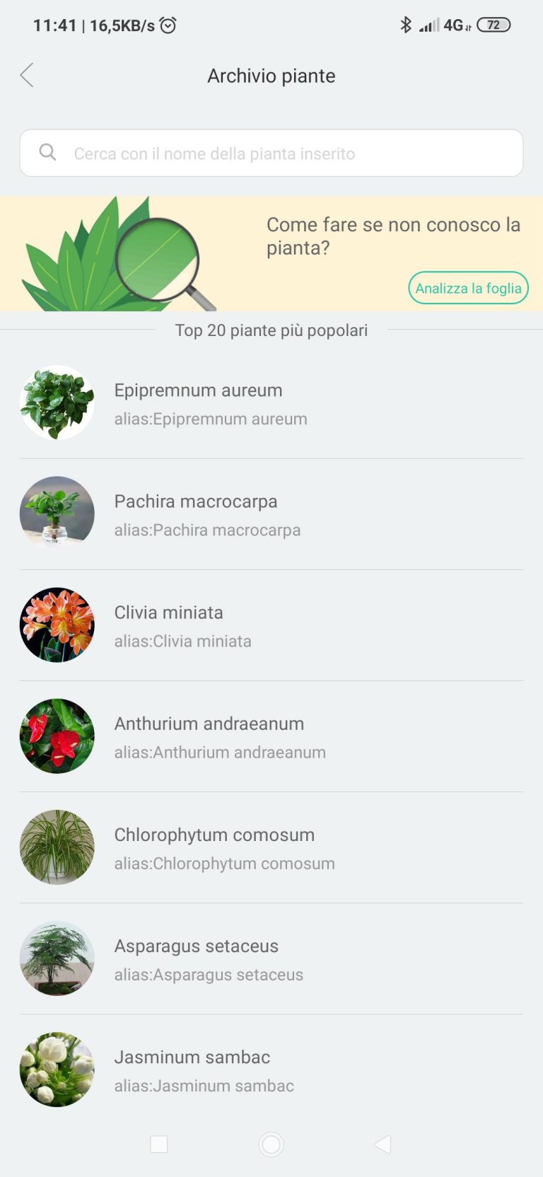 Xiaomi Flower Care sensore piante guida completa