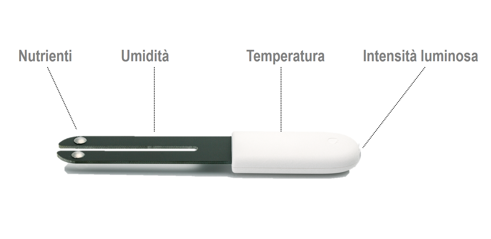 Xiaomi Flower Care sensore piante guida completa