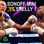 Sonoff Mini vs Shelly 1