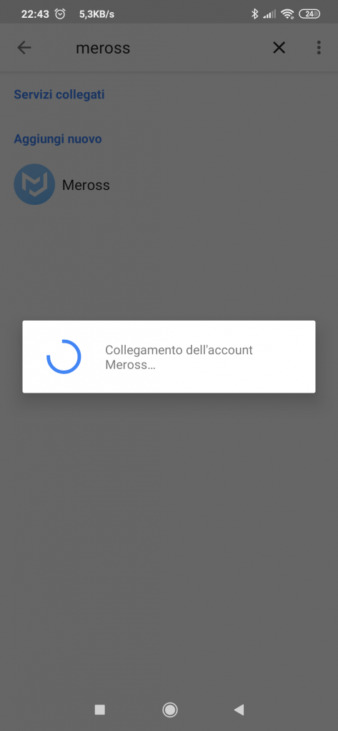 Meross Google Home