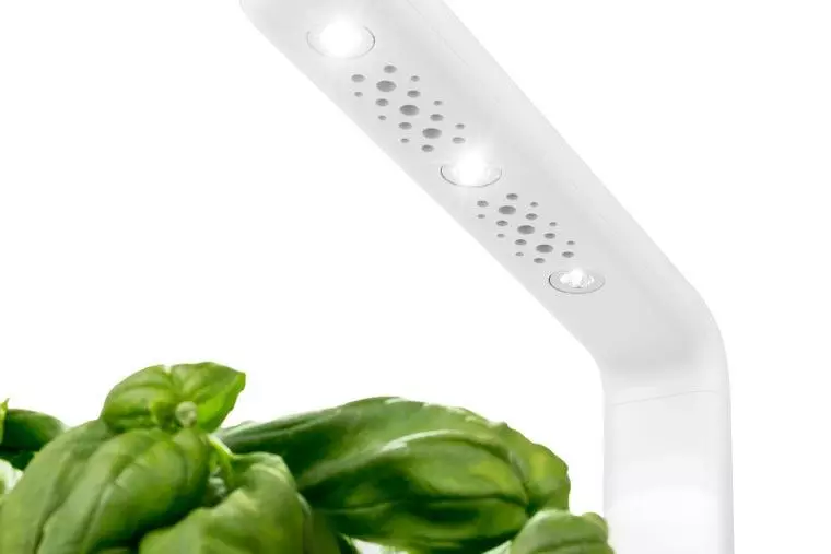 serra idroponica da casa per coltivazione indoor Click & Grow Smart Garden