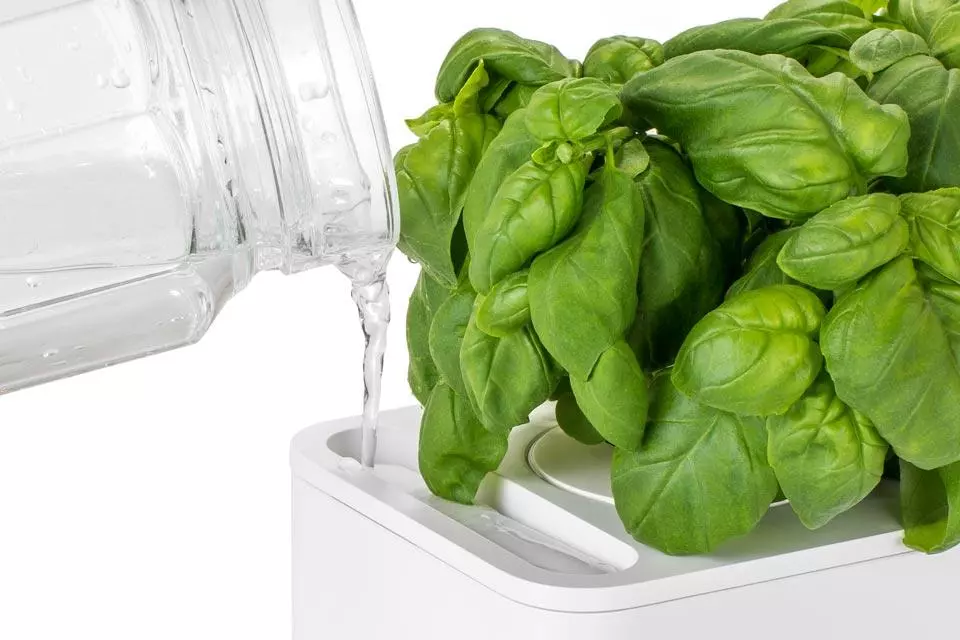 serra idroponica da casa per coltivazione indoor Click & Grow Smart Garden