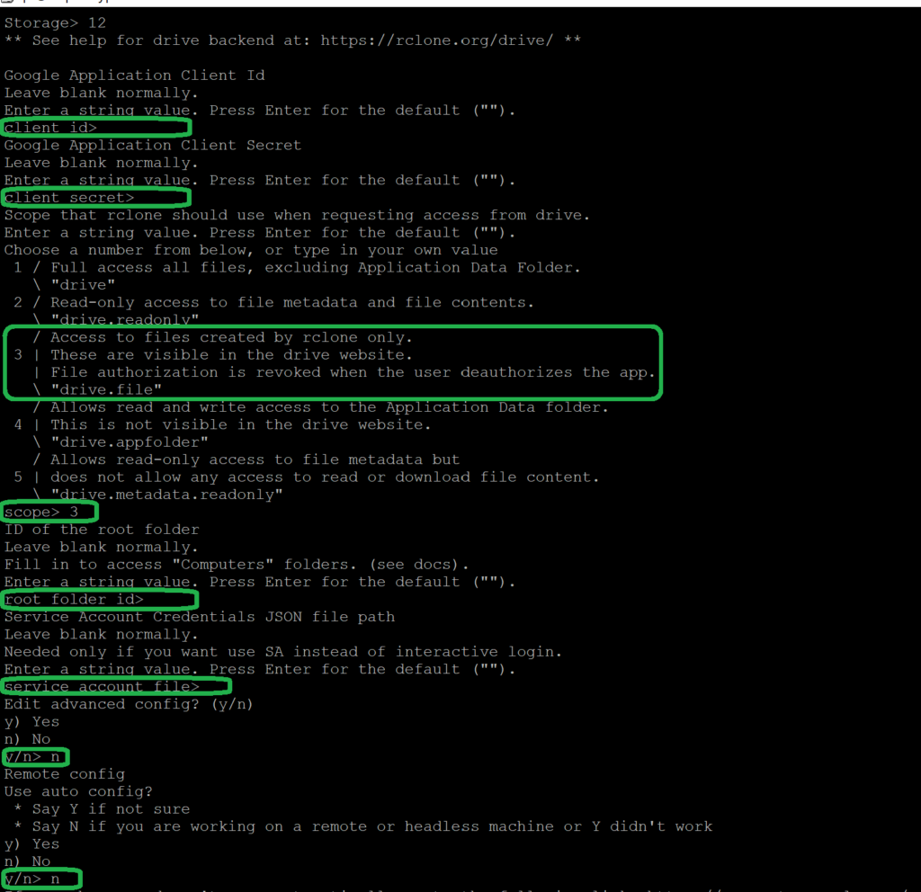 Configurazione RClone Google Drive su Raspberry Pi