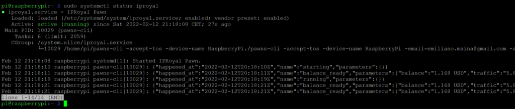 IPRoyal Pawn su Raspberry Pi