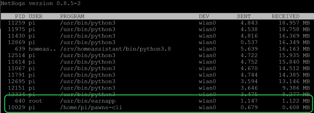 Utilizzo della rete da parte di IPRoyal Pawns su Raspberry Pi