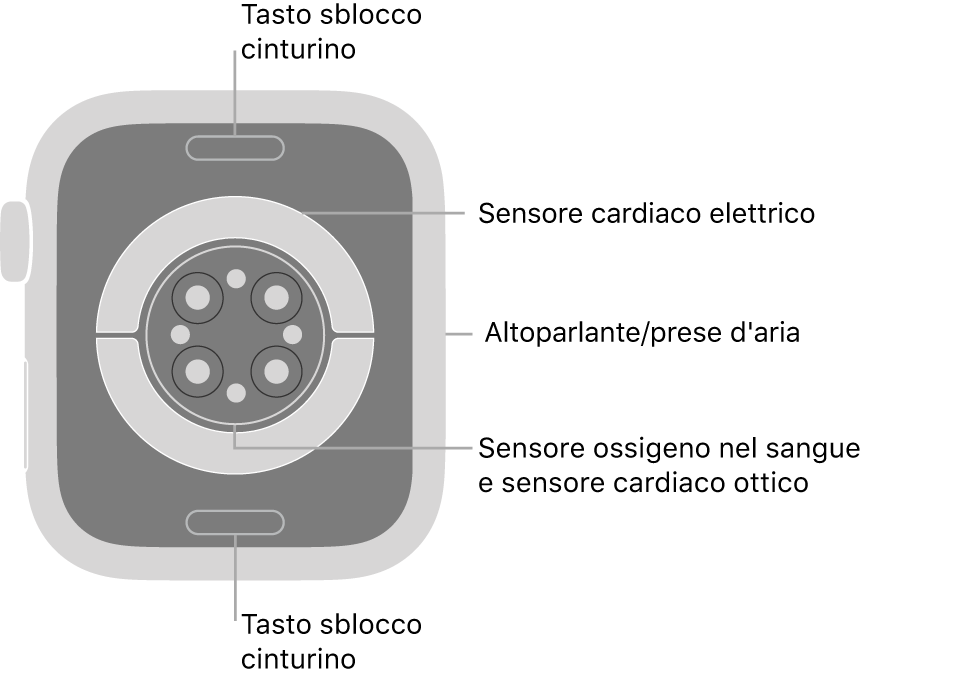 Sensori Apple Watch Series 7