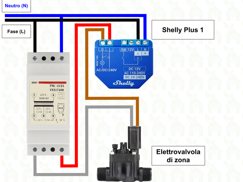 Schema collegamento Shelly Plus 1 con elettrovalvola irrigazione 24VAC